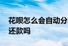花呗怎么会自动分期还款 花呗分期可以自动还款吗
