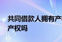 共同借款人拥有产权吗 买房共同借款人拥有产权吗