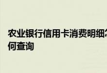 农业银行信用卡消费明细怎样查 农业银行信用卡消费账单如何查询