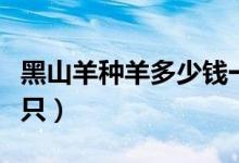 黑山羊种羊多少钱一只（黑山羊种羊多少钱一只）