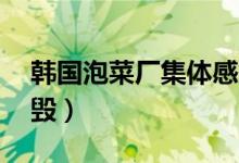 韩国泡菜厂集体感染（50吨泡菜将全部被销毁）