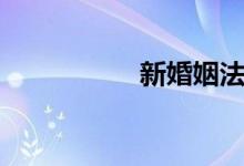新婚姻法（离婚咨询）