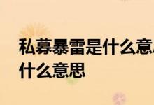 私募暴雷是什么意思 公募基金中股票爆雷是什么意思