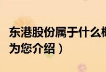 东港股份属于什么概念（东港股份市值是多少为您介绍）