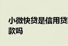 小微快贷是信用贷款吗 小微快贷个人可以贷款吗