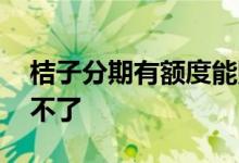 桔子分期有额度能购物吗 桔子分期有额度用不了