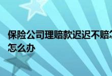 保险公司理赔款迟迟不赔怎么办 保险公司理赔款迟迟不到账怎么办