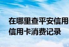 在哪里查平安信用卡消费记录 如何查询平安信用卡消费记录