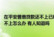在平安普惠贷款还不上已经到法院了怎么样 平安普惠贷款还不上怎么办 有人知道吗