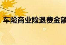 车险商业险退费金额 车险商业保险能退费吗