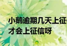 小鹅逾期几天上征信 小鹅花钱一般逾期多久才会上征信呀