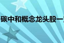 碳中和概念龙头股一览碳中和概念股全部名单