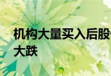 机构大量买入后股价大跌 机构买入后为什么大跌