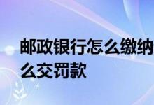 邮政银行怎么缴纳违章罚款 邮政银行app怎么交罚款