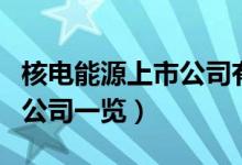 核电能源上市公司有哪些（核电能源受益上市公司一览）