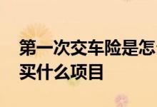 第一次交车险是怎么交的 第一次交车险应该买什么项目