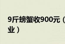 9斤螃蟹收900元（青岛一餐馆宰客被责令停业）