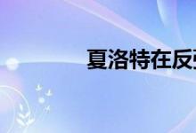  夏洛特在反弹中的主场销售 