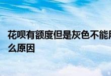 花呗有额度但是灰色不能用 花呗有额度但是变成了灰色是什么原因