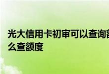 光大信用卡初审可以查询额度吗 请问光大信用卡初审通过怎么查额度