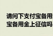 请问下支付宝备用金上征信吗 想问一下支付宝备用金上征信吗