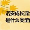 诺安成长混合基金是什么类型 诺安成长混合是什么类型的基金