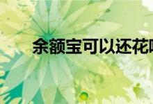 余额宝可以还花呗吗 余额宝需要还吗