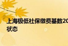 上海极低社保缴费基数2022是多少 缴费后多久能看到缴费状态 