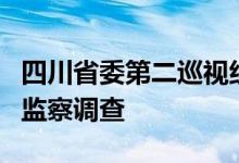 四川省委第二巡视组组长周宇接受纪律审查和监察调查