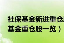 社保基金新进重仓股票有哪些（2022年社保基金重仓股一览）