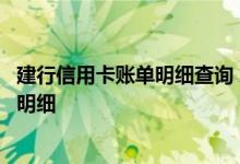 建行信用卡账单明细查询 怎么查询建行信用卡账单消费记录明细