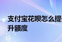 支付宝花呗怎么提升额度 支付宝花呗怎么提升额度