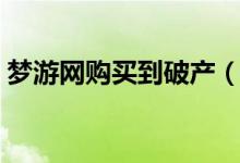 梦游网购买到破产（甚至买过全尺寸篮球场）
