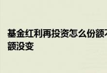 基金红利再投资怎么份额不变呢 基金选择了红利再投怎么份额没变