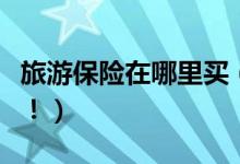 旅游保险在哪里买（这几个险种值得游客选择！）