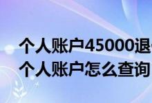 个人账户45000退休能拿多少养老金 养老金个人账户怎么查询 