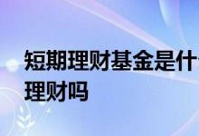 短期理财基金是什么 短债基金可以作为现金理财吗