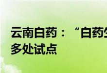 云南白药：“白药生活+”已在云南省内进行多处试点