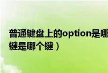 普通键盘上的option是哪个键（普通电脑键盘的“option”键是哪个键）