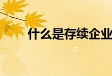 什么是存续企业（什么是存放同业）
