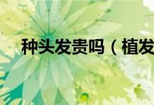 种头发贵吗（植发后头发可以维持多久）