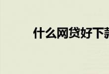 什么网贷好下款（好下款的网贷）