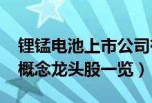 锂锰电池上市公司有哪些（2022年锂锰电池概念龙头股一览）