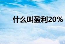 什么叫盈利20% 盈利20%是什么意思