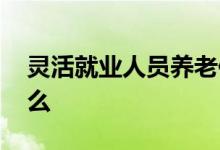 灵活就业人员养老保险怎么交 领取标准是什么 