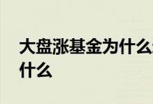 大盘涨基金为什么还会跌 大盘涨基金跌说明什么
