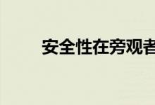 安全性在旁观者眼中的13%收益率
