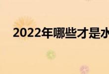 2022年哪些才是水泥上市公司龙头股（）