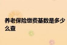养老保险缴费基数是多少 养老保险查询个人账户明细查询怎么查 