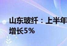 山东玻纤：上半年实现净利润3.48亿元同比增长5%